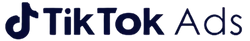 TikTok Ads